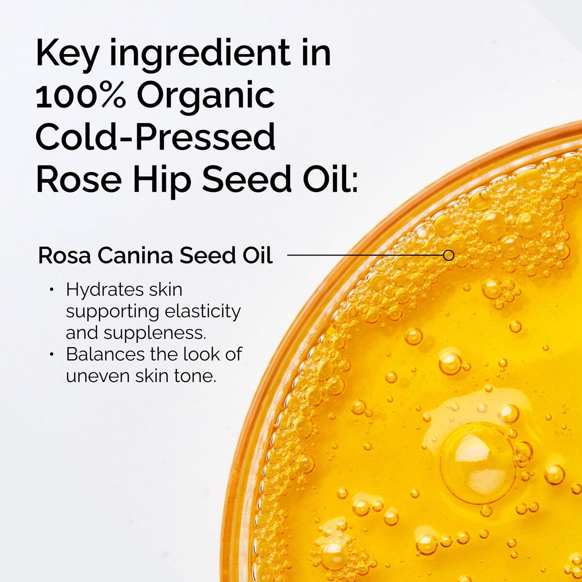 100-organic-cold-pressed-rose-hip-seed-oil-x7 FY25-D41247-ORD-Web-PDP-100-Rose-Hip-Oil-1x1-EN-2.jpg