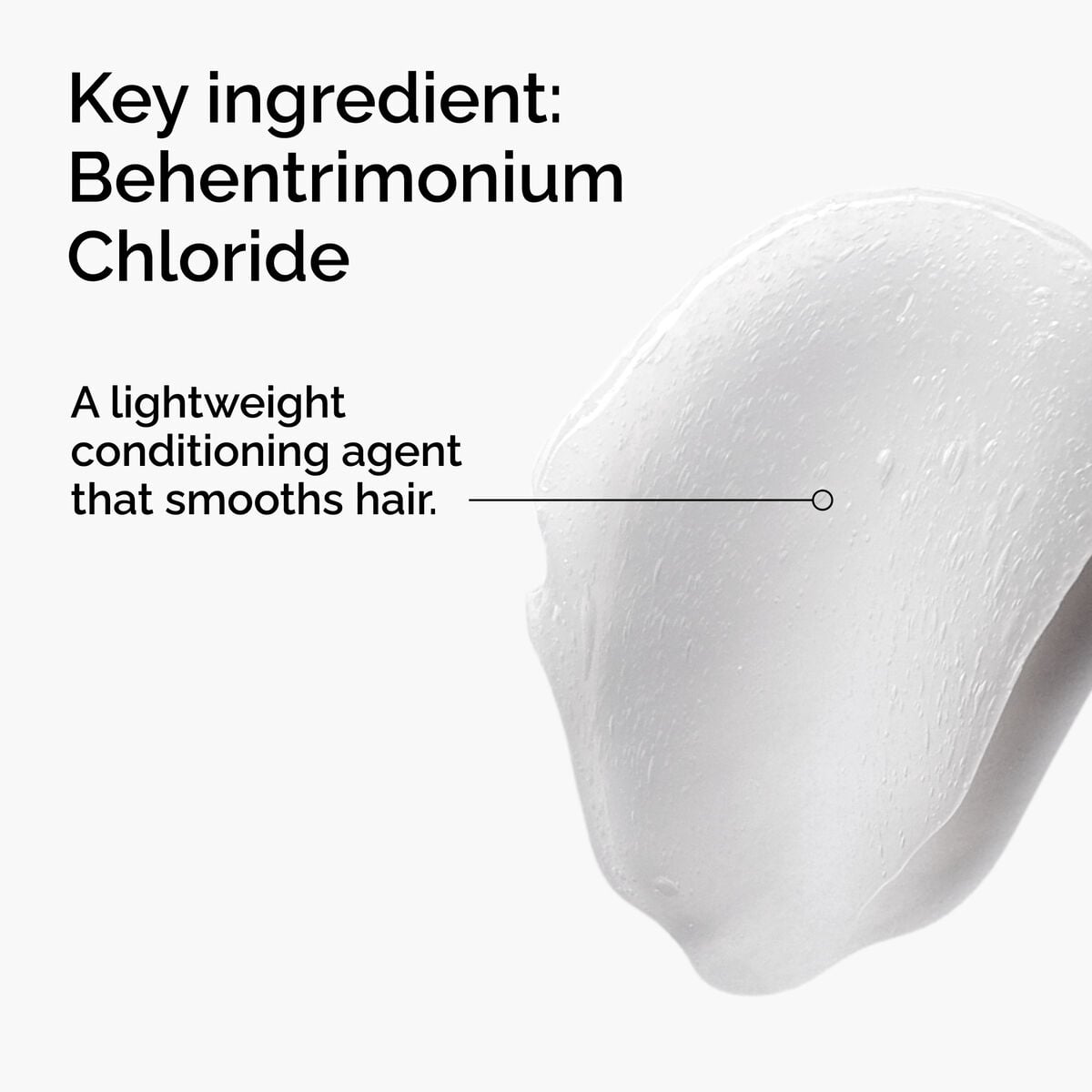 behentrimonium-chloride-2-conditioner-f4 FY25-D41247-ORD-Web-PDP-BTC-1x1-EN-2a.jpg