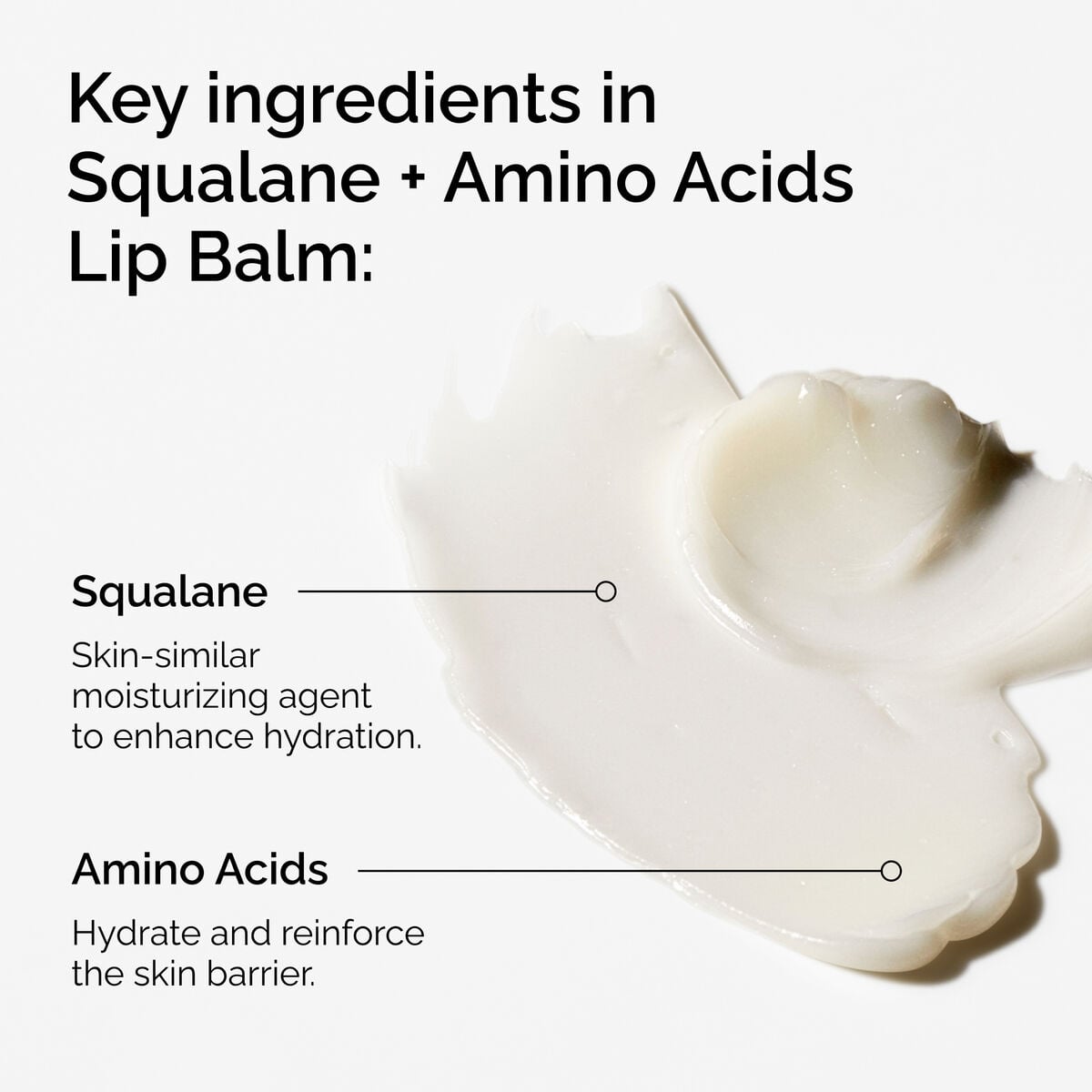 squalane-amino-acids-lip-balm-k2 FY25-D41247-ORD-Web-PDP-Sql-Amino-Lip-1x1-EN-2a.jpg