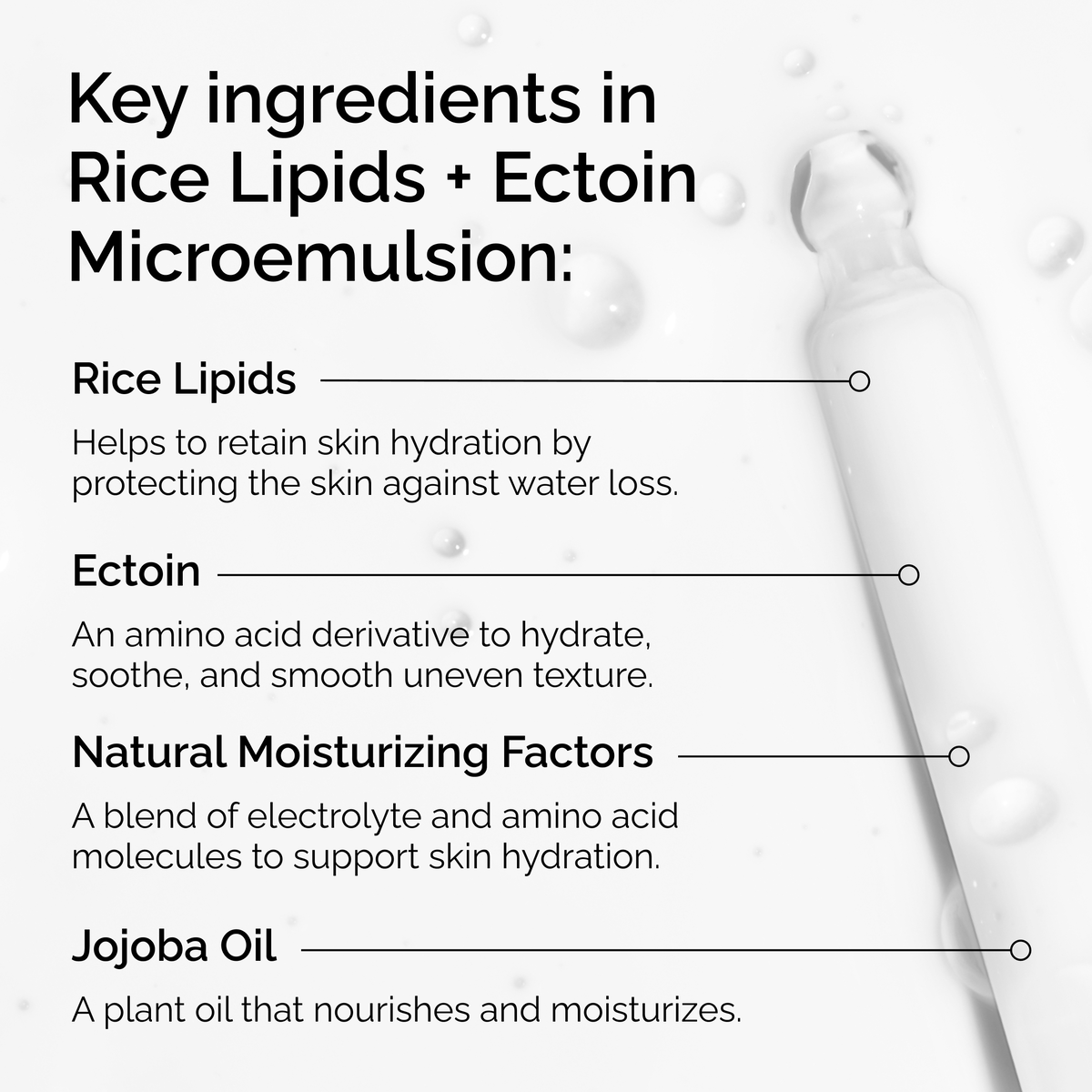 rice-lipids-ectoin-microemulsion-c7 ord-rice-lipids-ectoin-microemulsion-key-ingredients.png