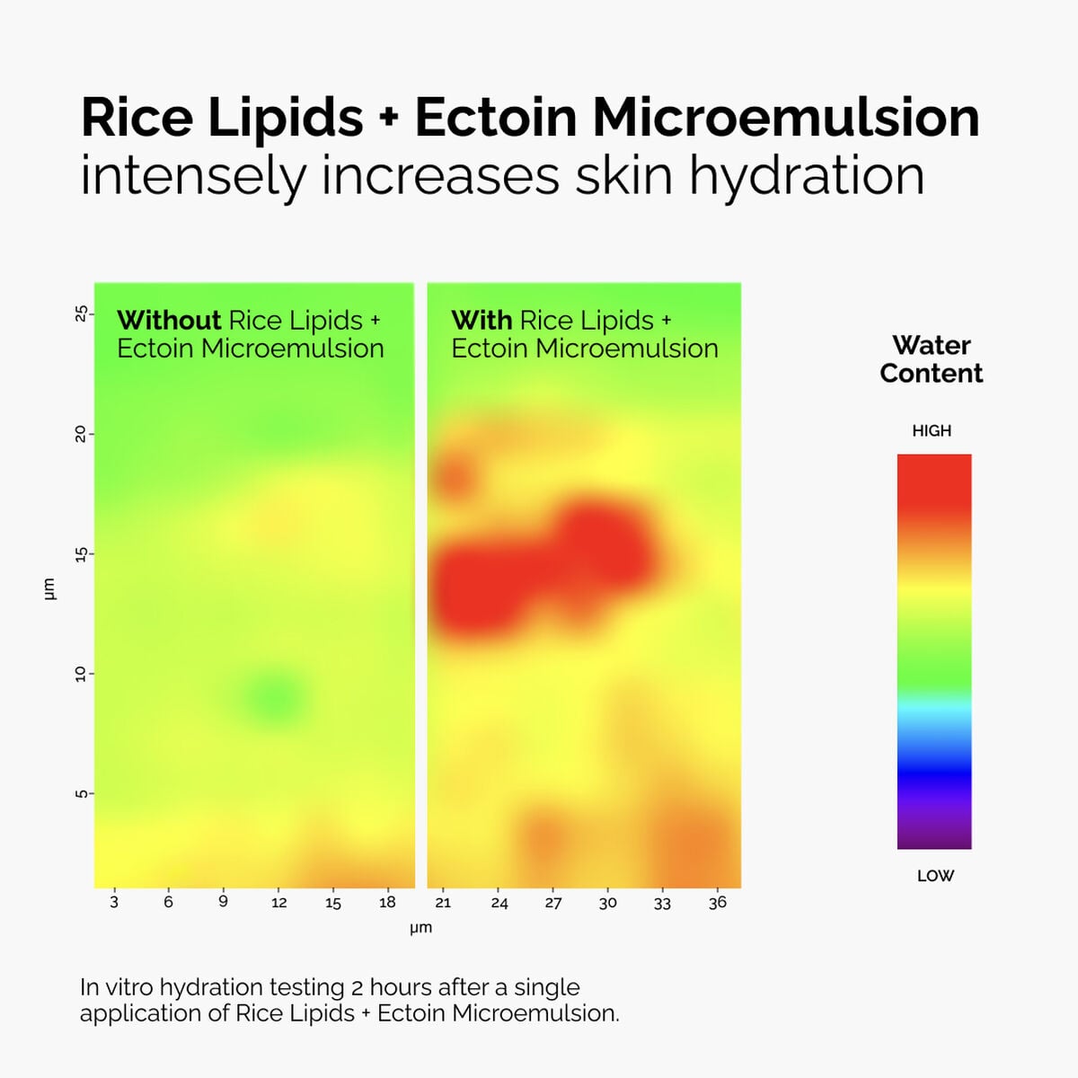 rice-lipids-ectoin-microemulsion-c7 ord-rice-lipids-ectoin-microemulsion-thermal-before-after.jpg